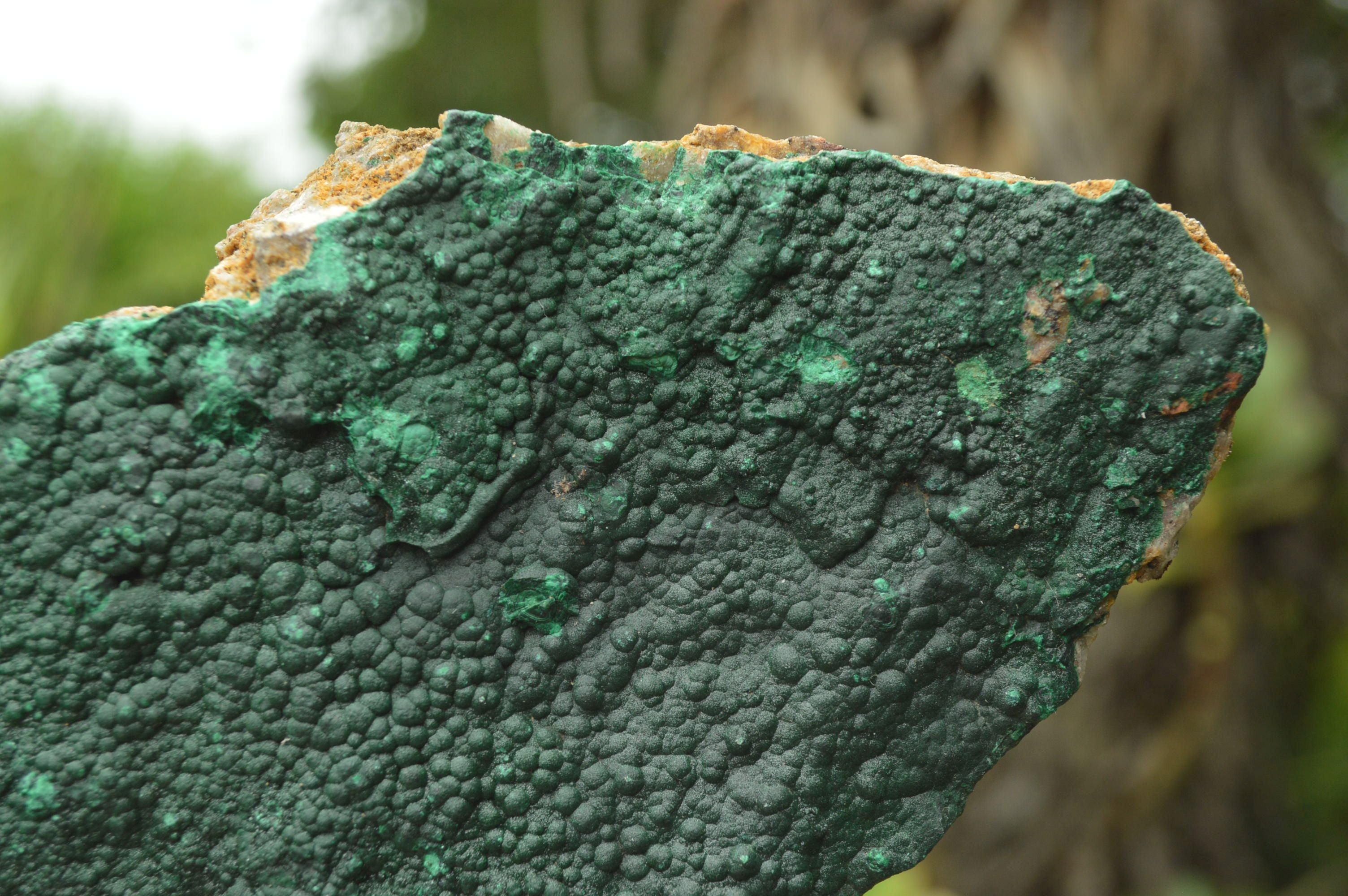 Natural Crystalline Botryoidal Malachite Plate Specimens x 2 From Tenke Fungumure, Congo - TopRock
