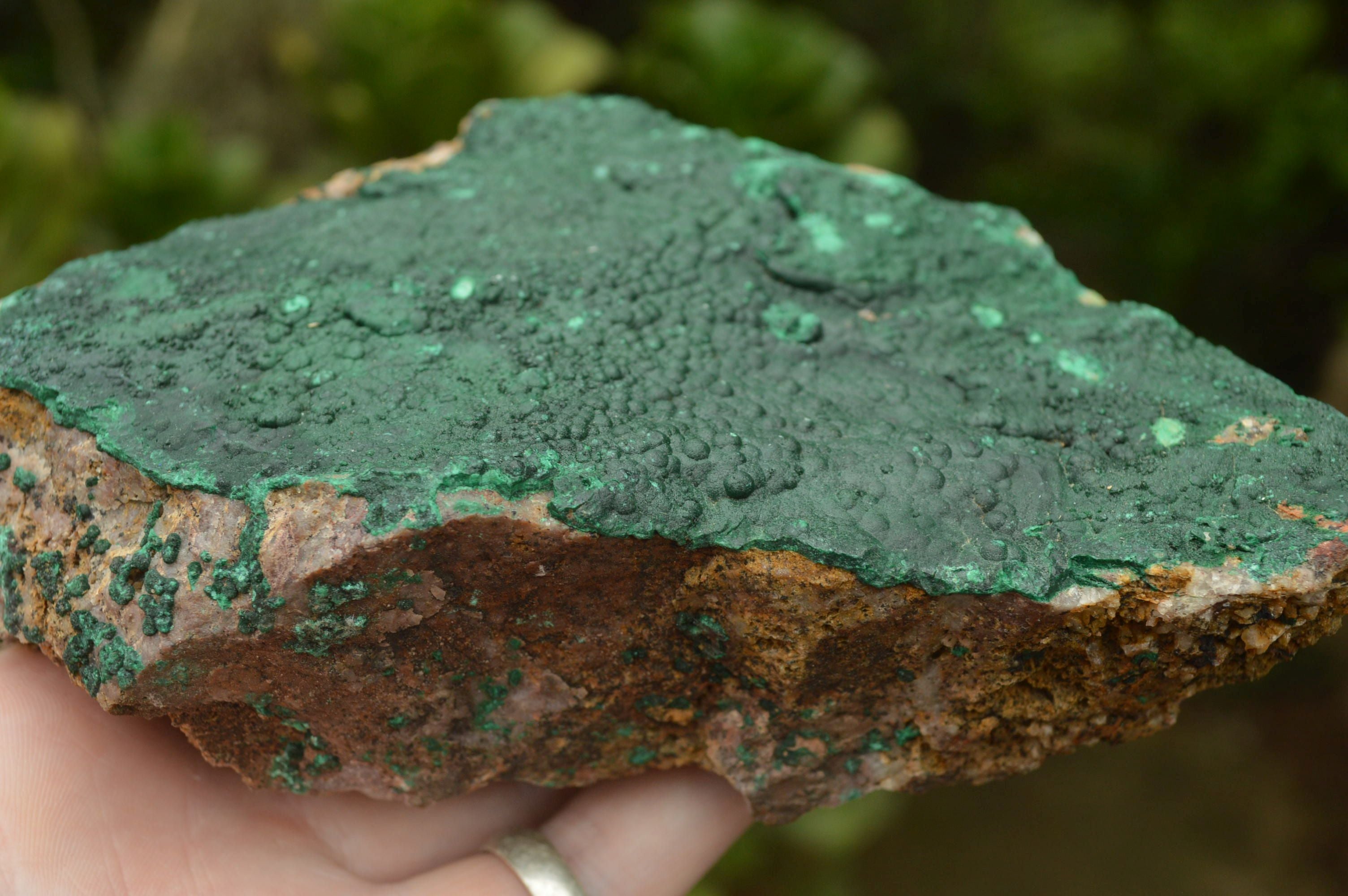 Natural Crystalline Botryoidal Malachite Plate Specimens x 2 From Tenke Fungumure, Congo - TopRock