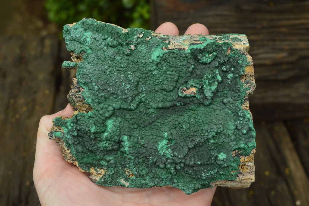 Natural Crystalline Botryoidal Malachite Plate Specimens x 2 From Tenke Fungumure, Congo - TopRock