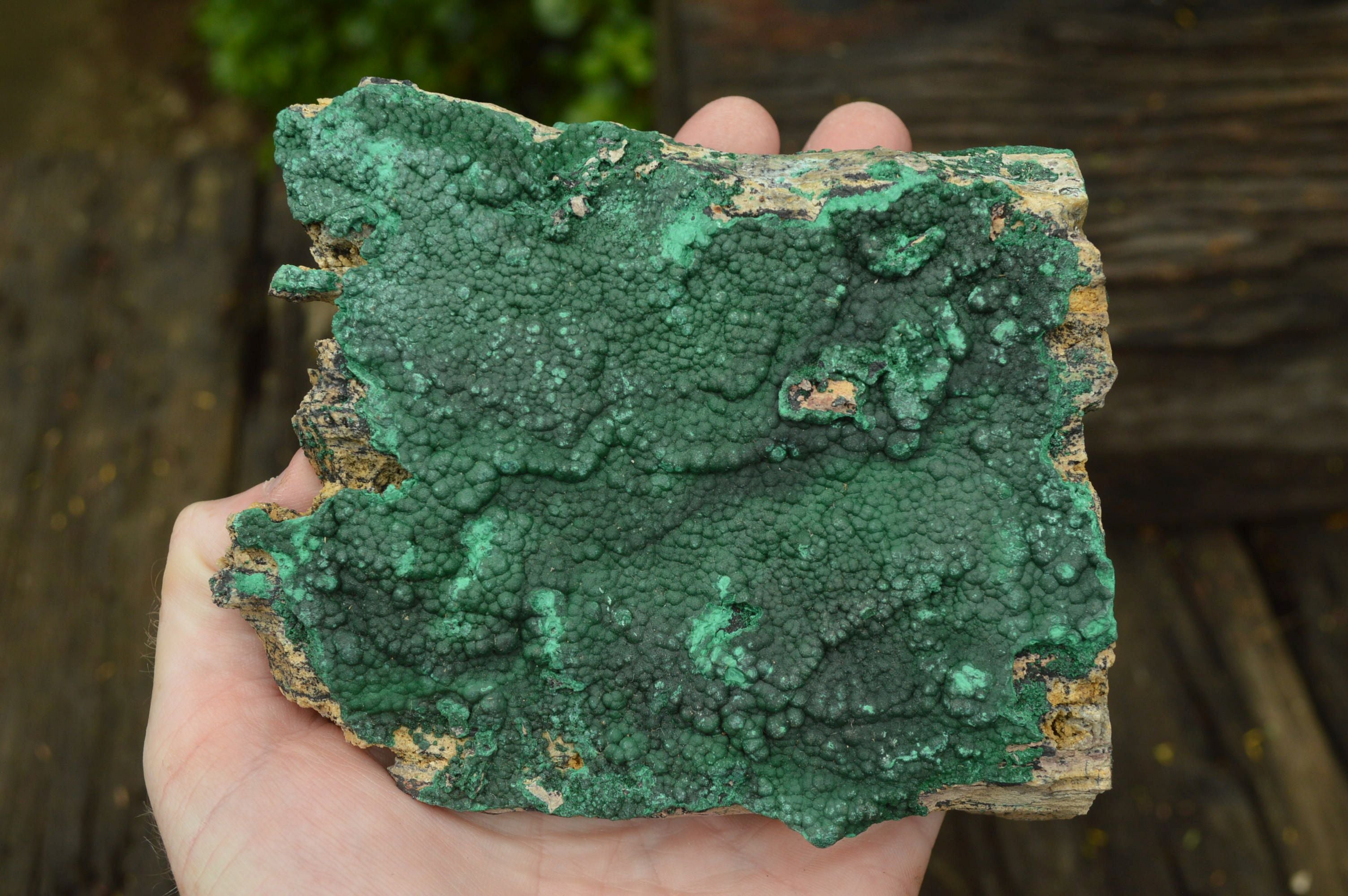 Natural Crystalline Botryoidal Malachite Plate Specimens x 2 From Tenke Fungumure, Congo - TopRock