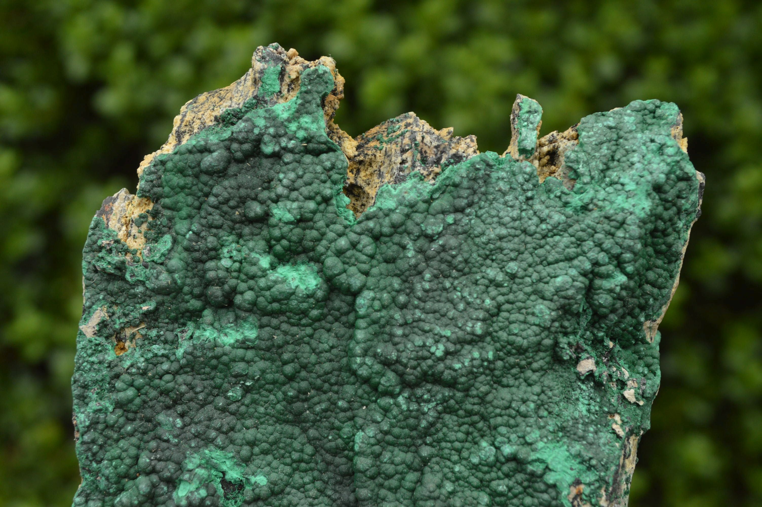 Natural Crystalline Botryoidal Malachite Plate Specimens x 2 From Tenke Fungumure, Congo - TopRock