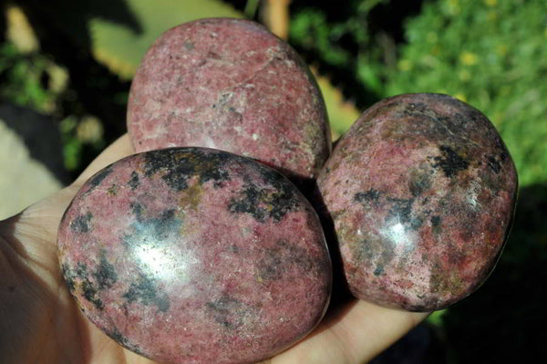 Polished Rhodonite Gallets x 6 From Zimbabwe - TopRock
