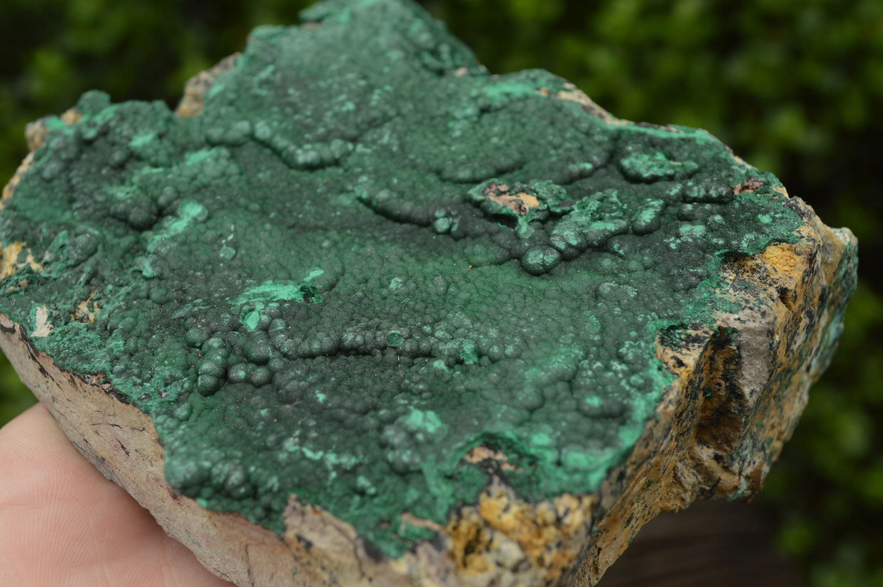 Natural Crystalline Botryoidal Malachite Plate Specimens x 2 From Tenke Fungumure, Congo - TopRock