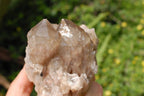 Natural Smokey Phantom Quartz Clusters x 3 From Lwena, Congo - TopRock