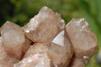 Natural Smokey Phantom Quartz Clusters x 3 From Lwena, Congo - TopRock