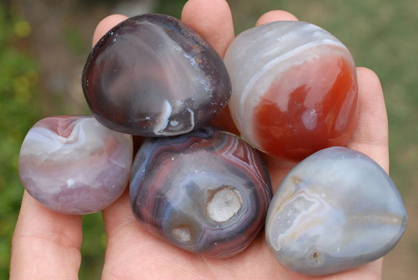 Polished Red Sashe River Agate Banded Free Forms x 12 From Zimbabwe - TopRock