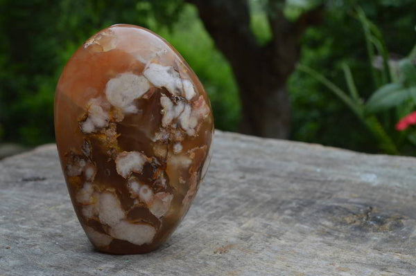 Polished Coral Flower Agate Gallets x 3 From Antsahalova, Mahajunga, Madagascar - TopRock