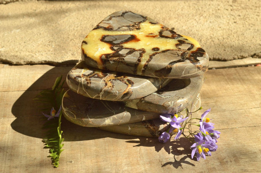 Polished Septerye (Aragonite & Calcite) Slices x 5 From Mahajanga, Madagascar - TopRock