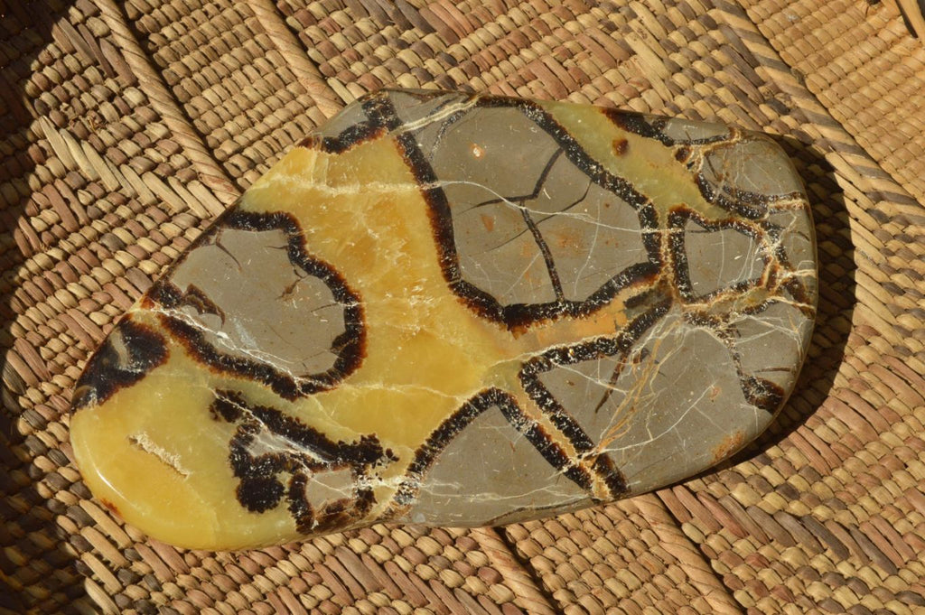 Polished Septerye (Aragonite & Calcite) Slices x 5 From Mahajanga, Madagascar - TopRock