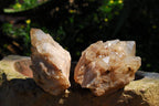 Natural Smokey White Phantom Lwena Quartz Clusters x 4 From Lwena, Congo - TopRock