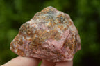 Natural Cobbed Rhodonite Pieces x 12 From Rushinga, Zimbabwe - TopRock