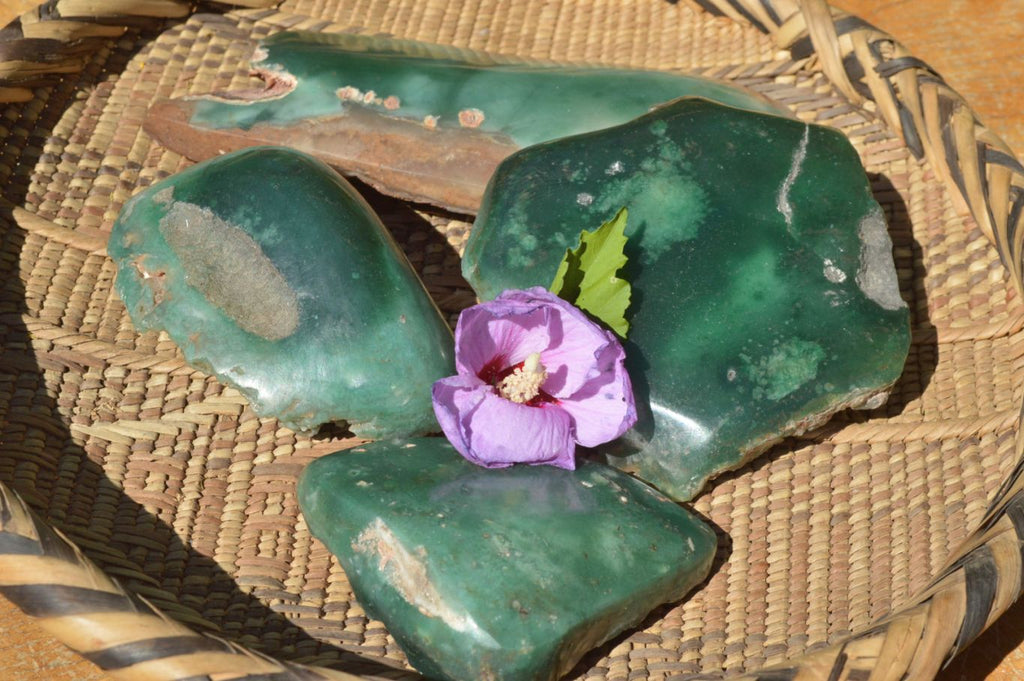 Polished Green Mtorolite Emerald Chrysoprase Plates (Half Polished) x 4 From Mutorashanga, Zimbabwe - TopRock