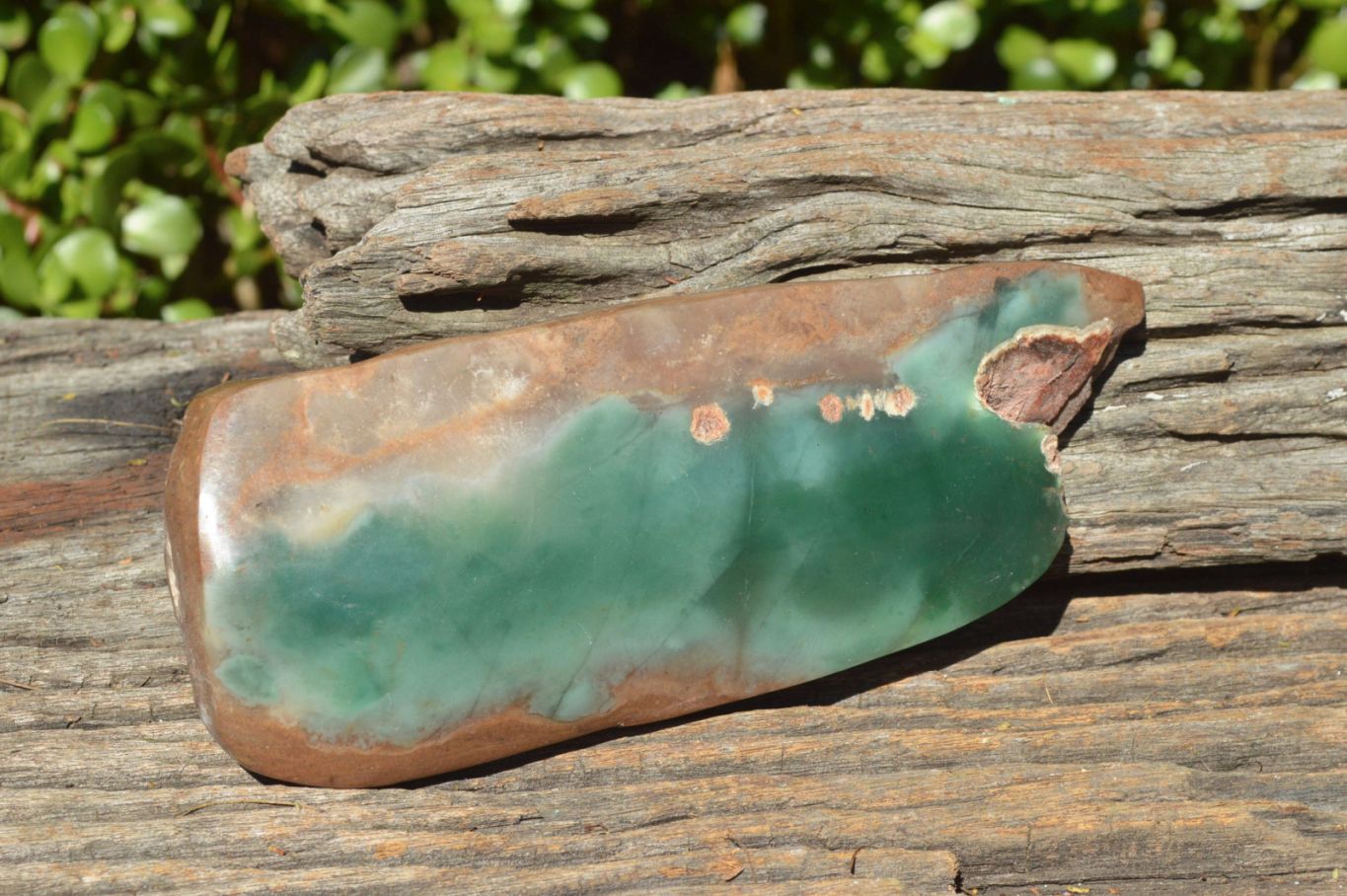 Polished Green Mtorolite Emerald Chrysoprase Plates (Half Polished) x 4 From Mutorashanga, Zimbabwe - TopRock