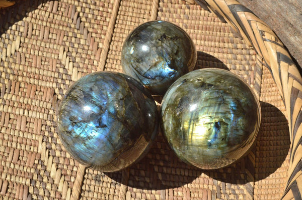 Polished Labradorite Spheres With Nice Blue & Gold Flash x 3 From Madagascar - TopRock