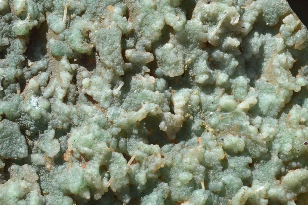 Polished Green Mtorolite Emerald Chrysoprase Plates (Half Polished) x 4 From Mutorashanga, Zimbabwe - TopRock