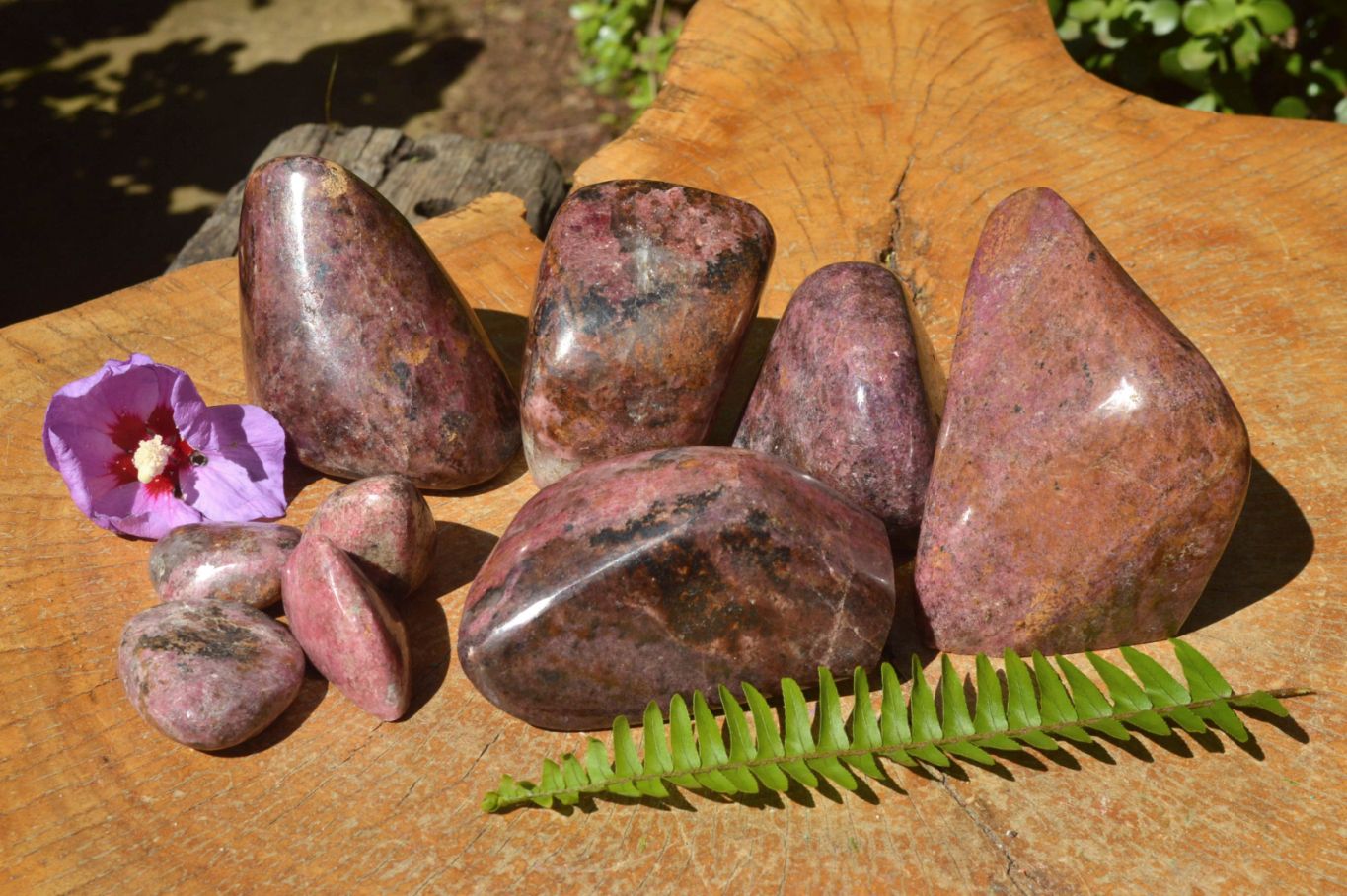 Polished Pink Rhodonite Free Forms (Small to Medium) x 17 From Rushinga, Zimbabwe - TopRock