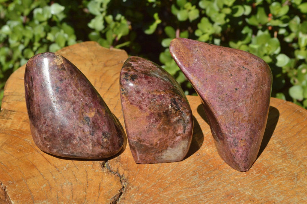 Polished Pink Rhodonite Free Forms (Small to Medium) x 17 From Rushinga, Zimbabwe - TopRock