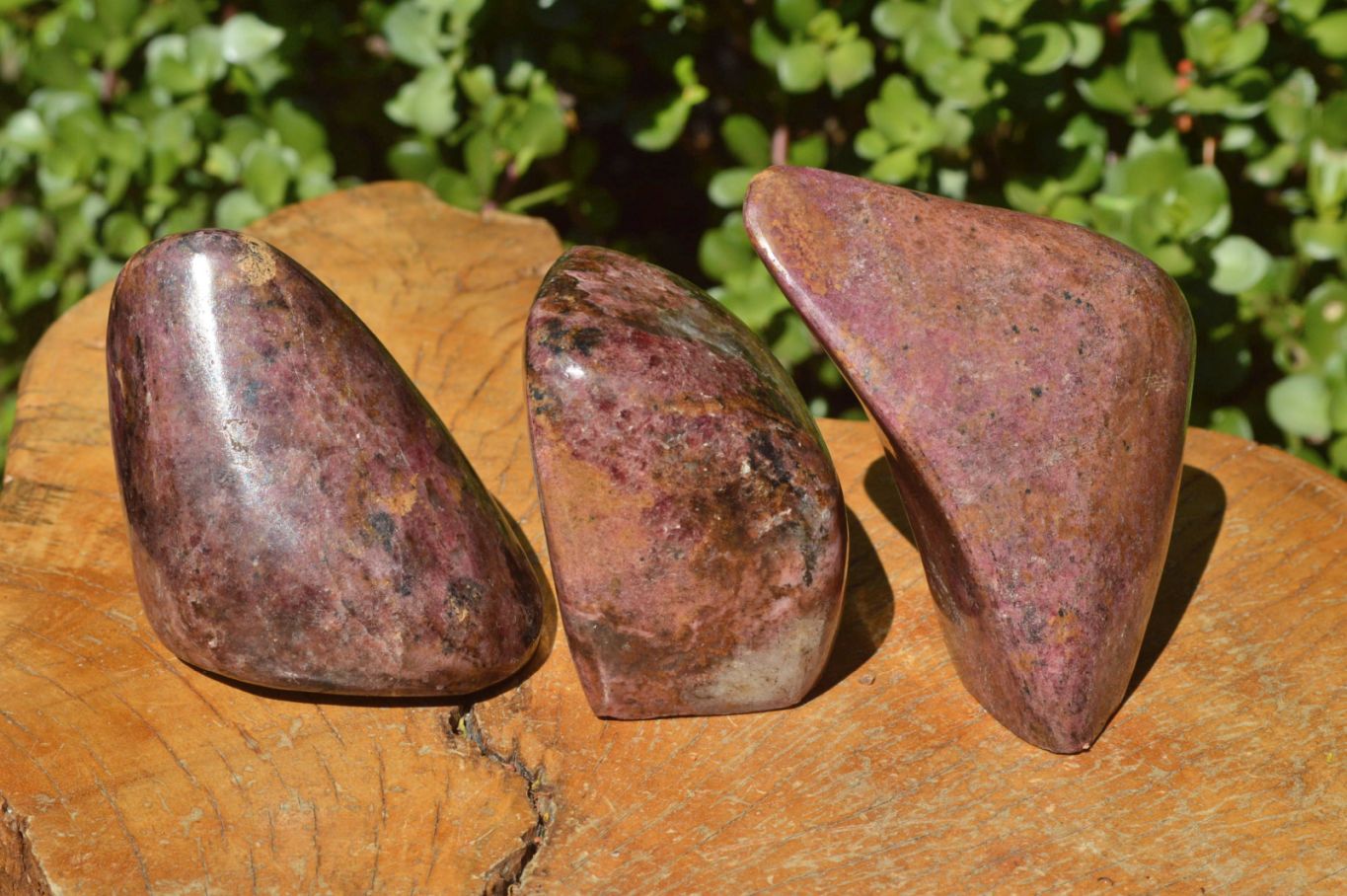 Polished Pink Rhodonite Free Forms (Small to Medium) x 17 From Rushinga, Zimbabwe - TopRock