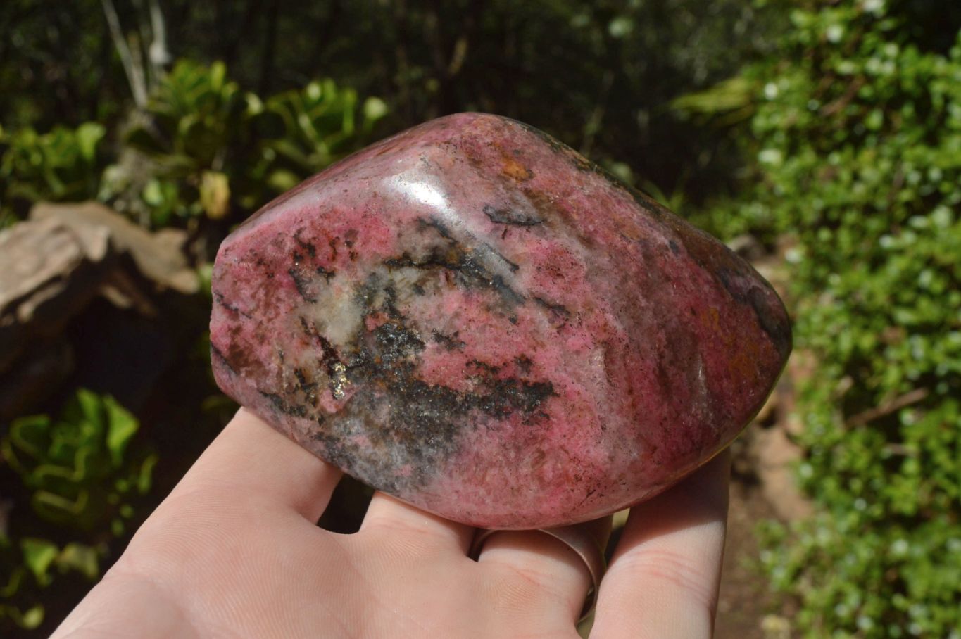 Polished Pink Rhodonite Free Forms (Small to Medium) x 17 From Rushinga, Zimbabwe - TopRock