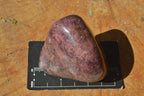 Polished Pink Rhodonite Free Forms (Small to Medium) x 17 From Rushinga, Zimbabwe - TopRock