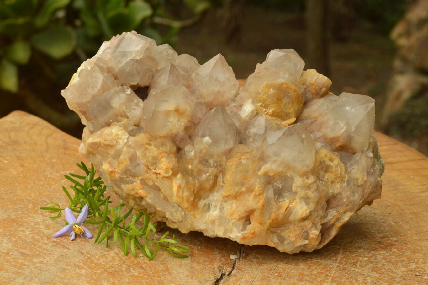 Natural Smokey Cascading Phantom Quartz Cluster x 1 From Luena, Congo - TopRock