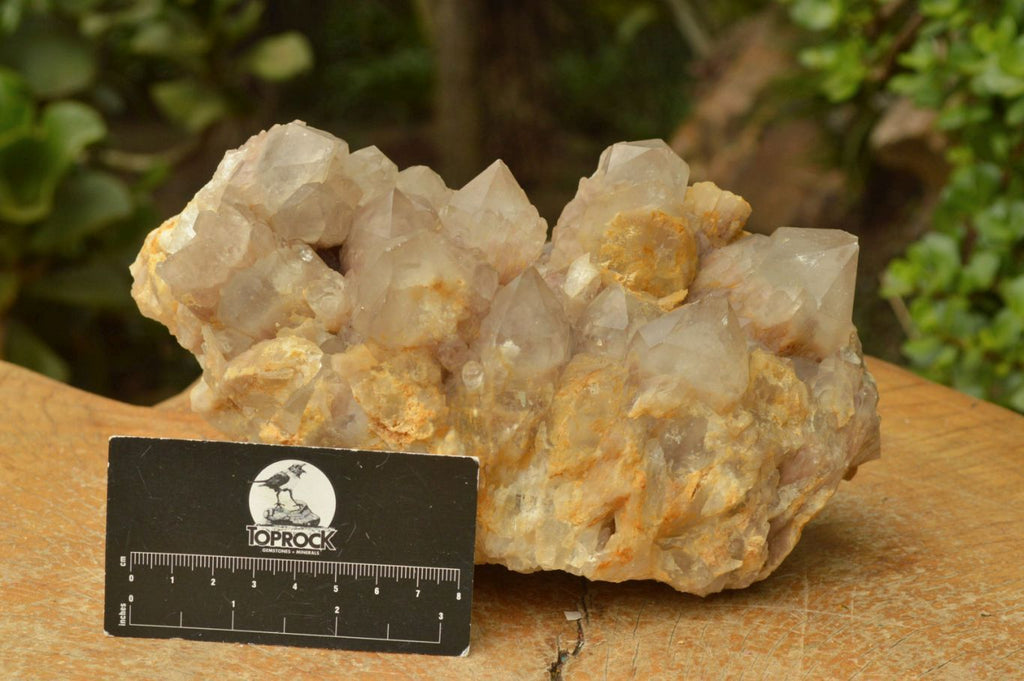 Natural Smokey Cascading Phantom Quartz Cluster x 1 From Luena, Congo - TopRock
