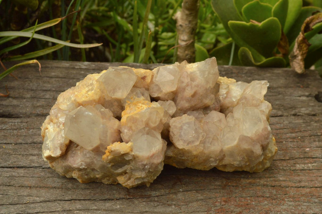 Natural Smokey Cascading Phantom Quartz Cluster x 1 From Luena, Congo - TopRock