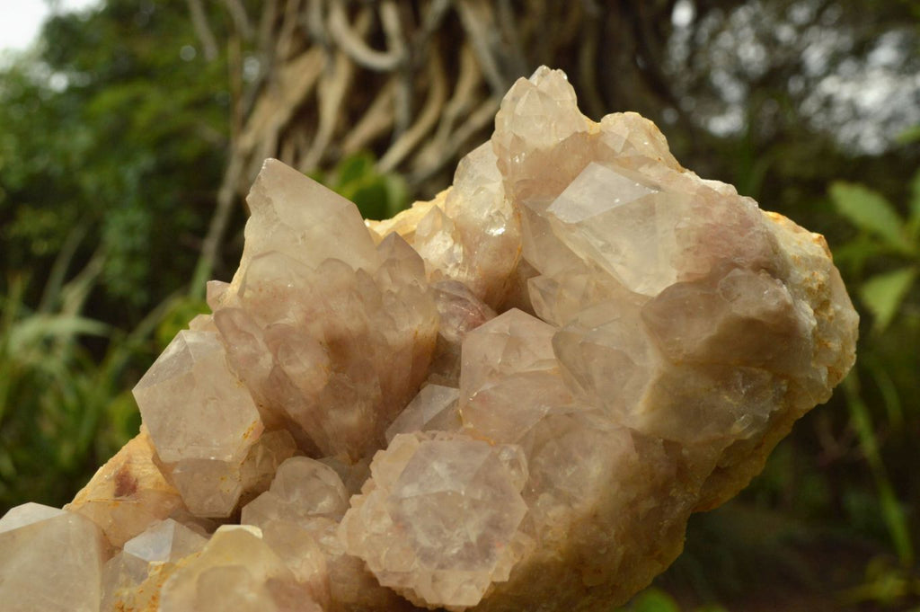 Natural Smokey Cascading Phantom Quartz Cluster x 1 From Luena, Congo - TopRock