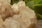 Natural Smokey Cascading Phantom Quartz Cluster x 1 From Luena, Congo - TopRock
