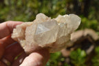 Natural Smokey Cascading Phantom Quartz Clusters x 2 From Luena, Congo - TopRock