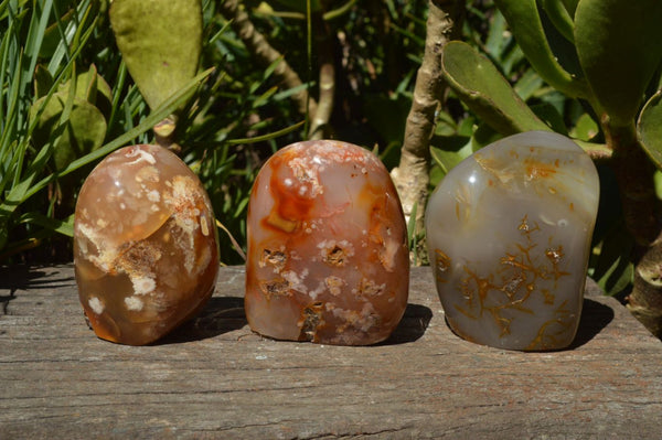 Polished Trio Of Stunning Coral Flower Agate Standing Free Forms x 3 From Antsahalova, Mahajunga, Madagascar - TopRock