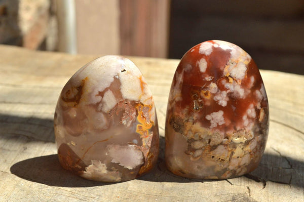 Polished Coral Flower Agate Free Forms (Mostly Standing) x 12 From Antsahalova, Madagascar - TopRock