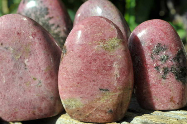 Polished Rhodonite Standing Free Forms x 6 From Ambindavato, Madagascar - TopRock