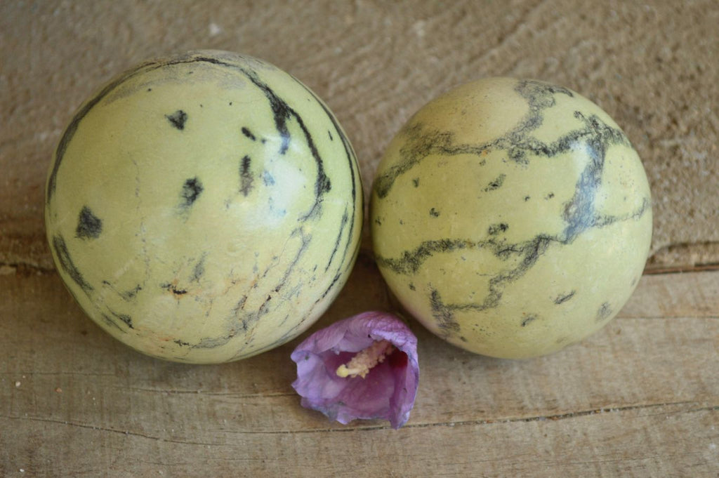 Polished Leopard Stone Spheres x 2 From Zimbabwe - TopRock