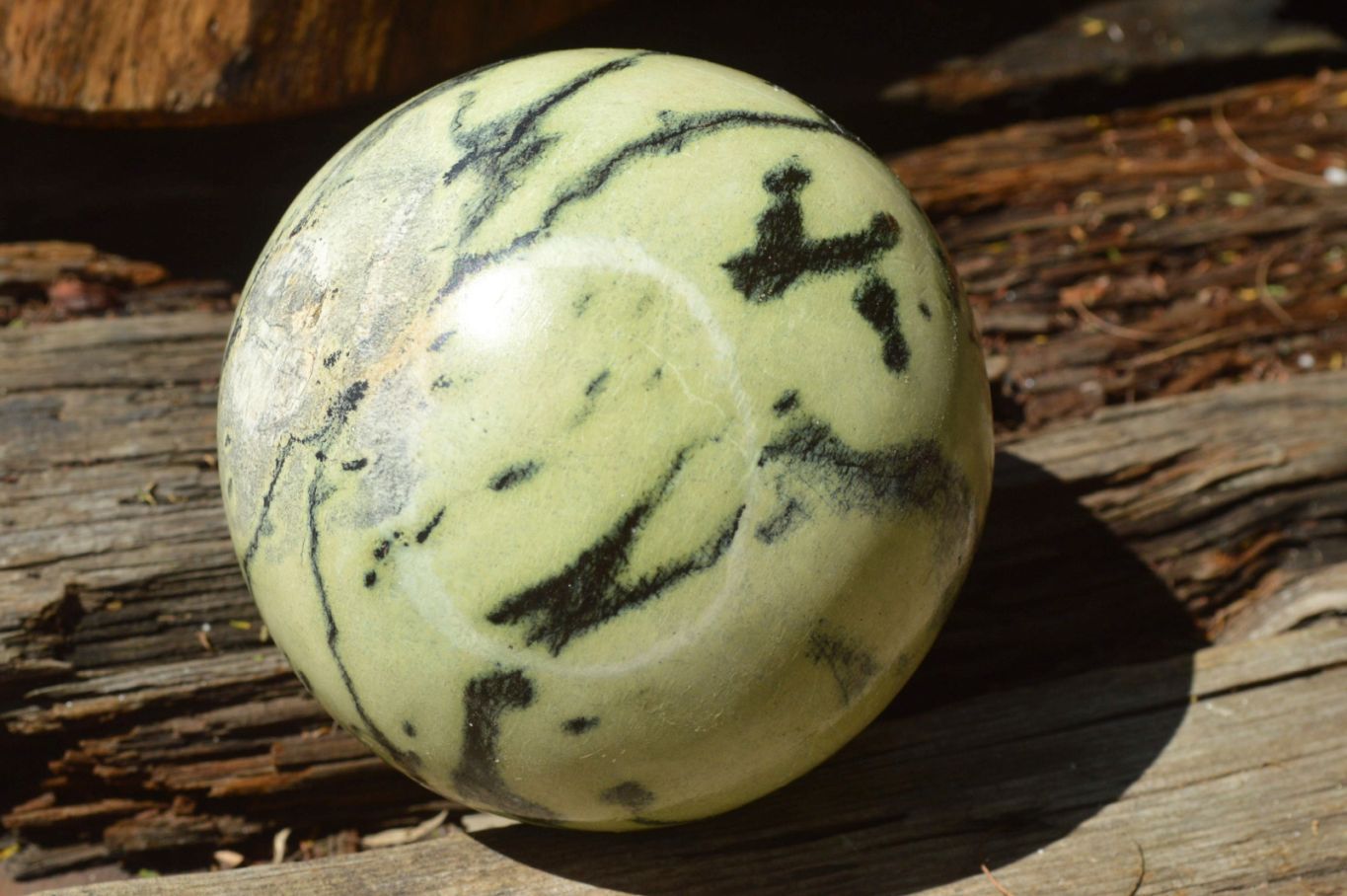 Polished Leopard Stone Spheres x 2 From Zimbabwe - TopRock