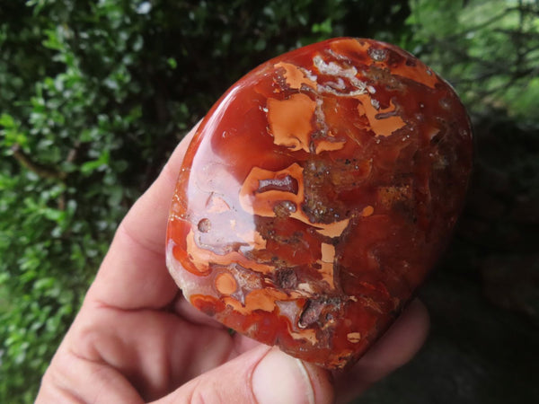 Polished Carnelian Standing Free Forms x 5 From Madagascar - TopRock
