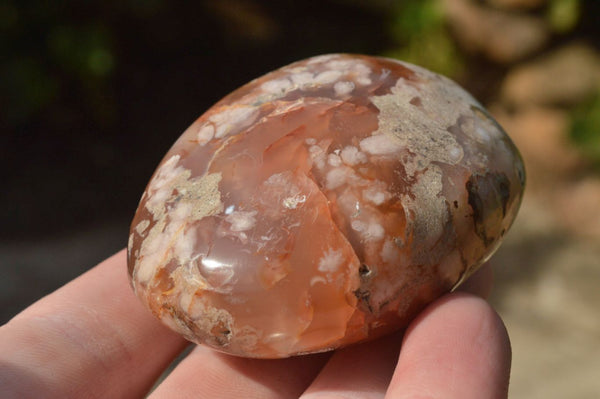 Polished Coral Flower Agate Palm Stones x 12 From Antsahalova, Madagascar - TopRock