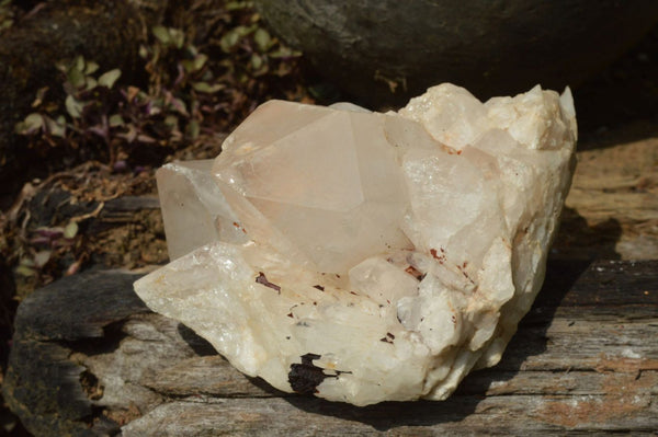 Natural Large White Quartz Crystals With Goethite Coating x 3 From Madagascar - TopRock