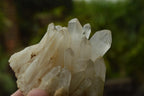 Natural Mixed Malagasy Quartz Clusters x 25 From Madagascar - TopRock