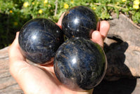 Polished Blue Water Sapphire Iolite Spheres x 3 From Madagascar - TopRock