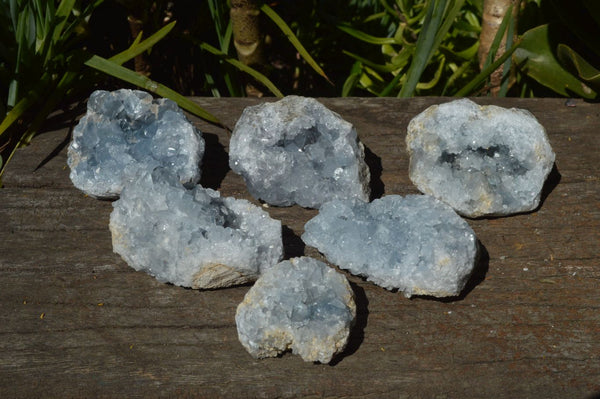 Natural Small Blue Celestite Specimens x 12 From Sakoany, Madagascar - TopRock
