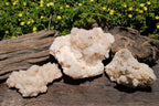 Natural Mixed Quartz Clusters x 4 From Madagascar - TopRock