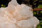 Natural Mixed Quartz Clusters x 4 From Madagascar - TopRock