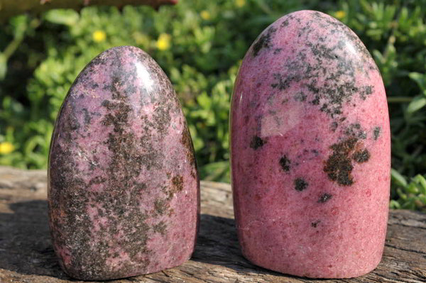Polished Rhodonite Free Forms x 3 From Ambindavato, Madagascar - TopRock