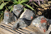 Natural Bloodstone Cobbed Specimens x 5 From Swaziland - TopRock