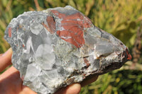 Natural Bloodstone Cobbed Specimens x 5 From Swaziland - TopRock