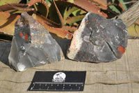 Natural Bloodstone Cobbed Specimens x 5 From Swaziland - TopRock