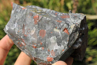 Natural Bloodstone Cobbed Specimens x 5 From Swaziland - TopRock