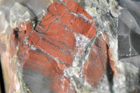 Natural Bloodstone Cobbed Specimens x 5 From Swaziland - TopRock