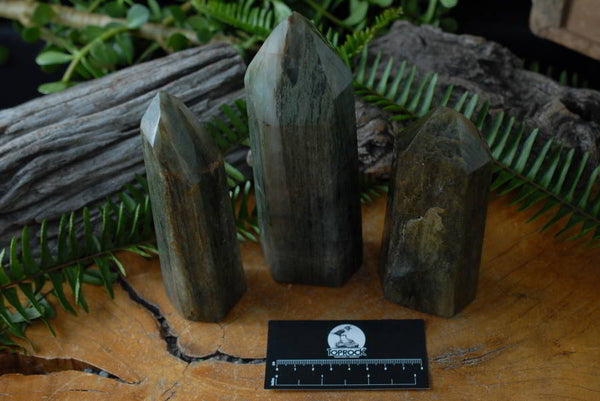 Polished Banded Green Fuchsite Crystal Points x 3 From Ambatondrazaka, Madagascar - TopRock
